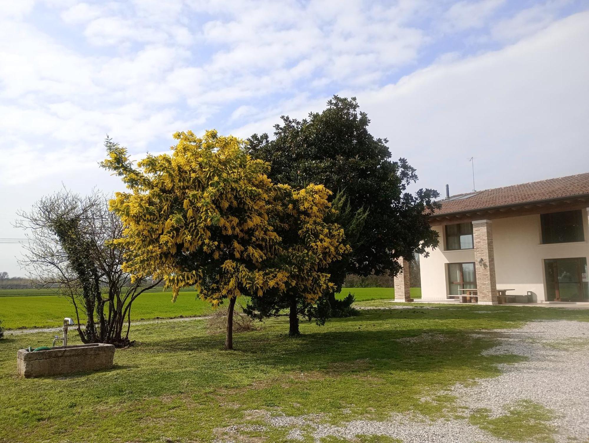 Agriturismo Trabucco Casale sul Sile Eksteriør bilde