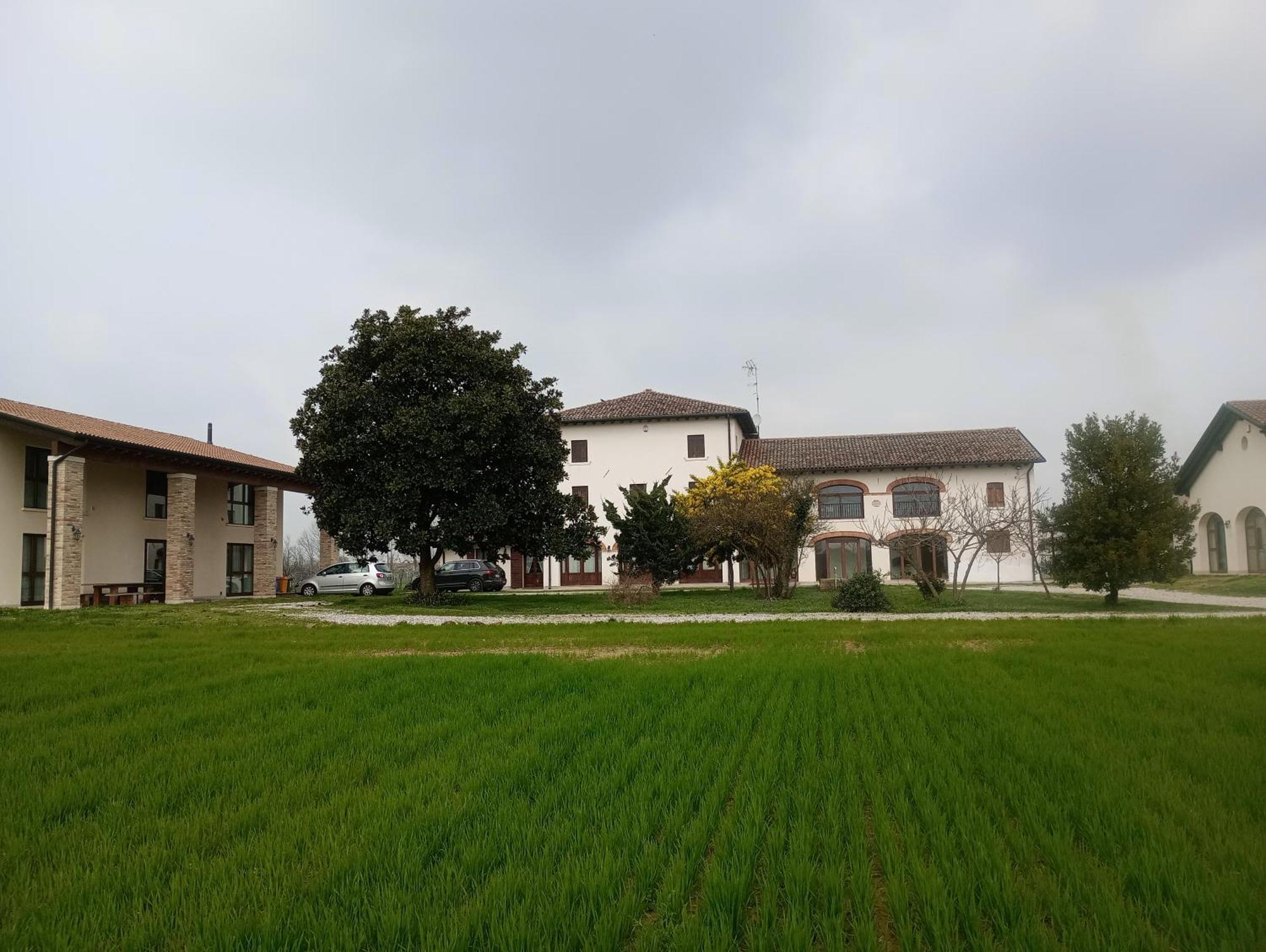 Agriturismo Trabucco Casale sul Sile Eksteriør bilde