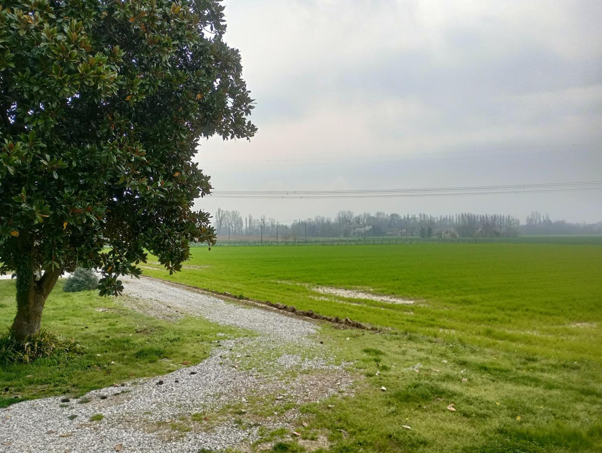 Agriturismo Trabucco Casale sul Sile Eksteriør bilde